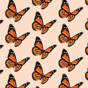 Meet your Posher, Carrie